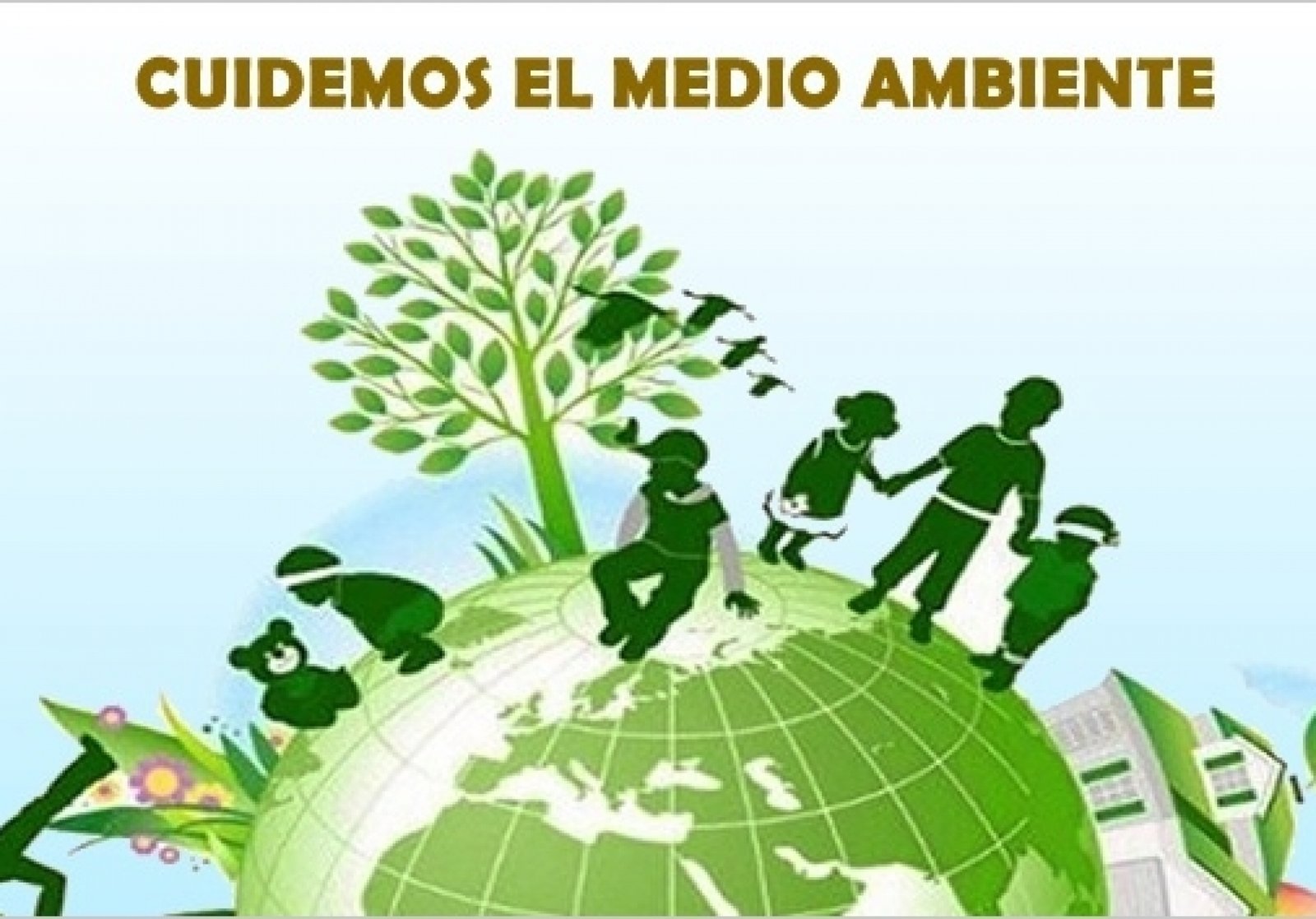 ▷ CÓMO CUIDAR EL MEDIO AMBIENTE DESDE CASA