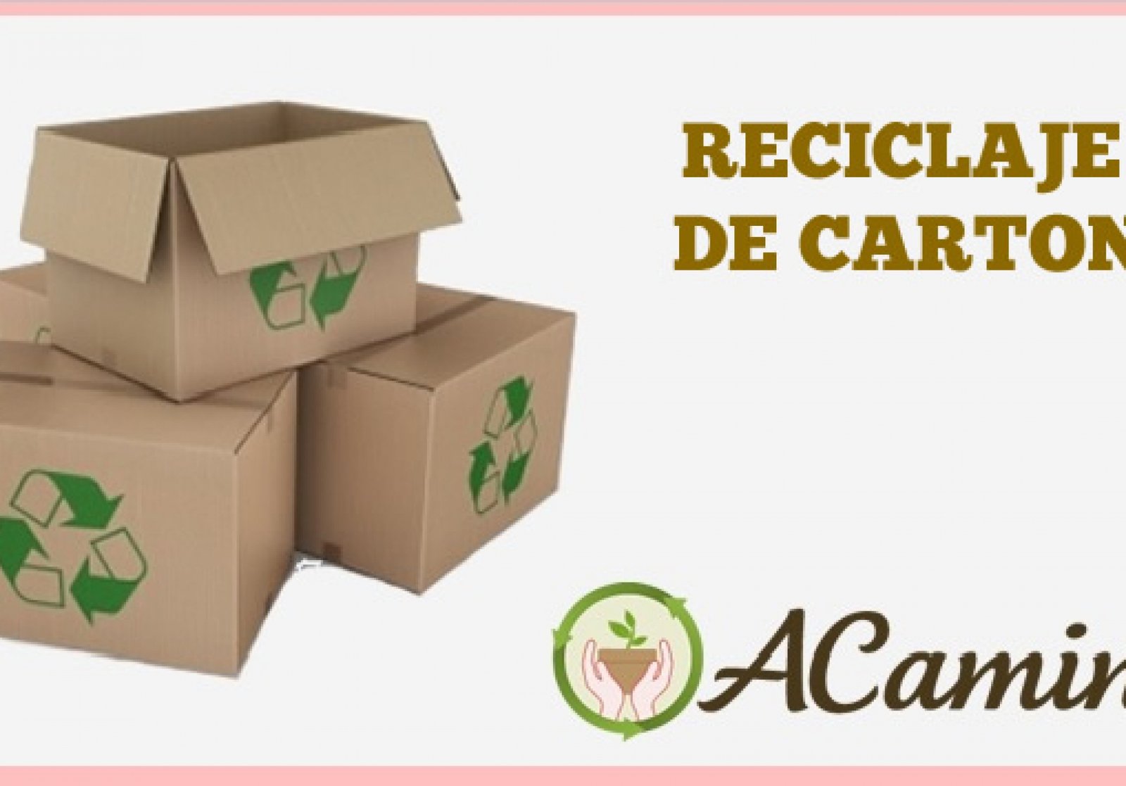 ▷ RECICLAJE DE CARTÓN 